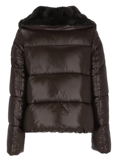 Shop Save The Duck Coats Brown