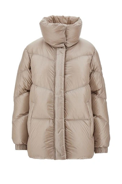 Shop Woolrich Jackets In Taupe