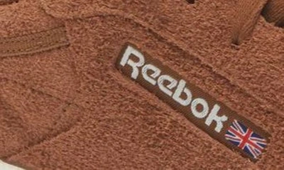 Shop Reebok Club C 85 Sneaker In Colbro Chalk Rbkle