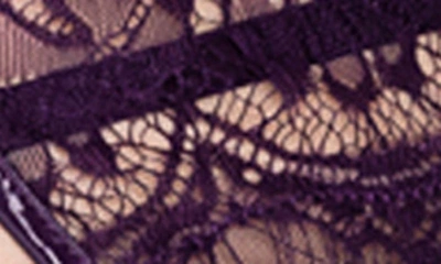 Shop Roma Confidential Sugar Plum Lace Underwire Bra, Thong & Garter Belt In Purple