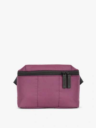 Shop Calpak Luka Mini Belt Bag In Plum