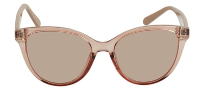 Shop Ferragamo Sf1073s 278 Cat Eye Sunglasses In Brown