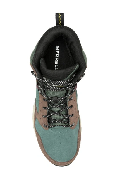 Shop Merrell Wildwood Waterproof Leather Sneaker In Forest