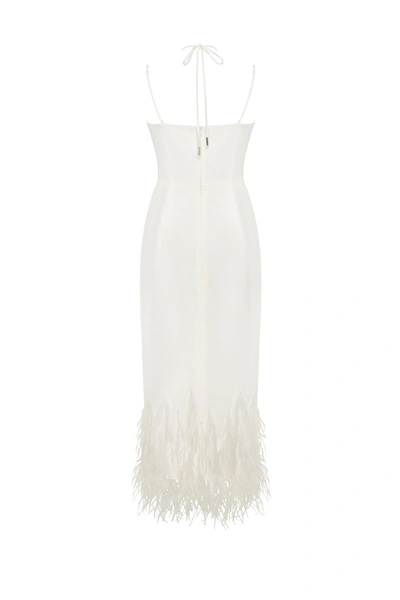 Shop Milla White Cocktail Dress Decorated With Feathers, Xo Xo