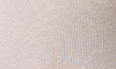 Agolde Pascale Turtleneck Long Sleeve Top In Oat Milk In Oat Milk