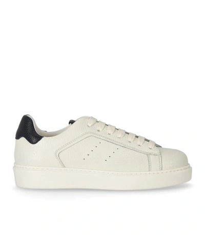 Shop Doucal's Katay Cream Sneaker In White