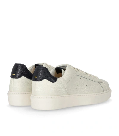 Shop Doucal's Katay Cream Sneaker In White