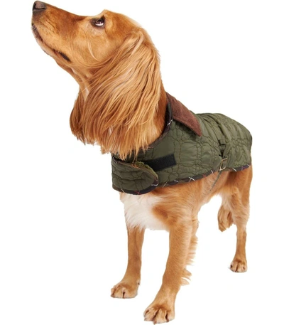 Shop Barbour Dog Bone Olive Green Coat