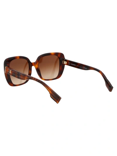 Shop Burberry Sunglasses In 331613 Light Havana