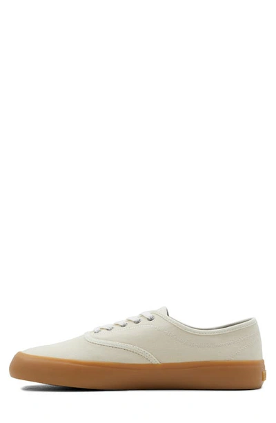 Shop Element Passiph Leather Sneaker In Open White