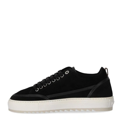 Shop Mason Garments Tia Heartbeat Black Sneaker