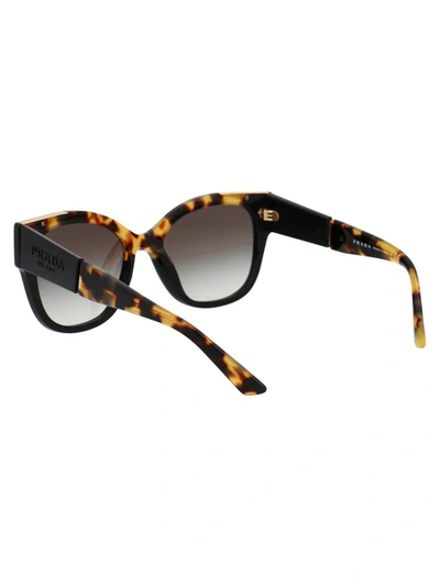 Shop Prada Sunglasses In 01m0a7 Black/medium Havana