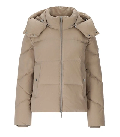 Shop Woolrich Alsea Taupe Short Hooded Down Jacket In Beige