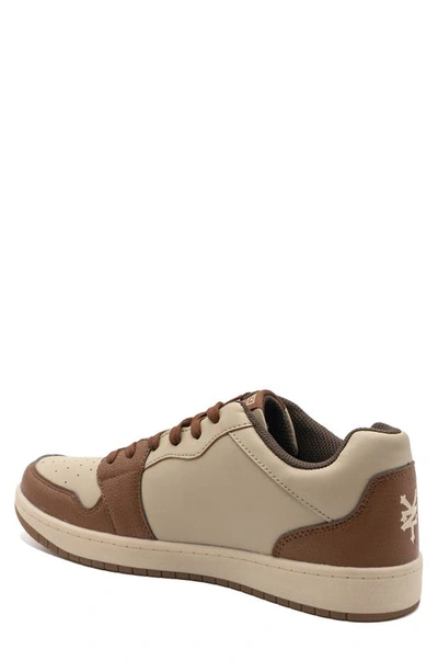 Shop Zoo York Casper Faux Leather Skate Sneaker In Brown