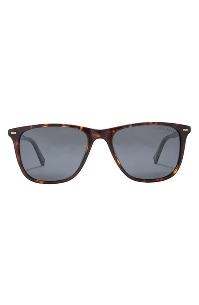 Shop Ted Baker 54mm Rectangle Sunglasses In Tortoise