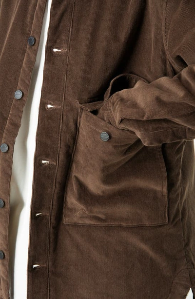 Shop Picture Organic Clothing Noliwa Organic Cotton Stretch Corduroy Shirt Jacket In Dark Chocolate