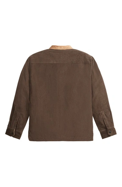 Shop Picture Organic Clothing Noliwa Organic Cotton Stretch Corduroy Shirt Jacket In Dark Chocolate