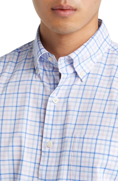 Shop Peter Millar Cutler Check Stretch Button-down Shirt In Palmer Pink