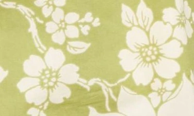 Alemais Leisa Floral Cotton Wide-leg Shorts In Lime