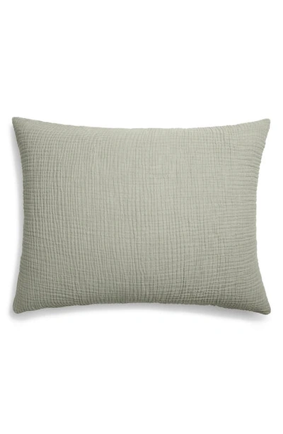 Parachute Cloud Cotton Sham Set In Moss