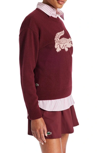 Shop Lacoste Big Croc Cashmere & Wool Crewneck Sweater In Zinfandel/ Candy