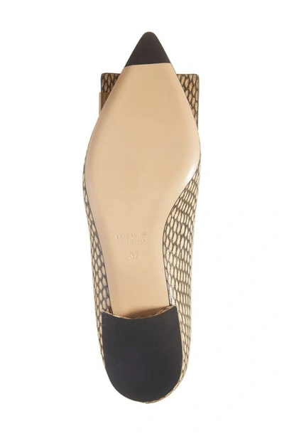 Bells & Becks Allegra Pointed Toe Flat In Tan