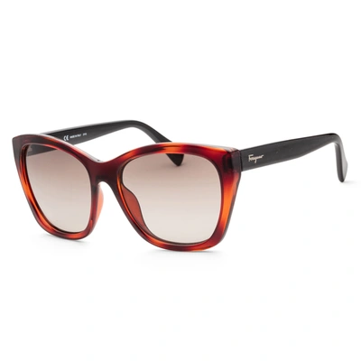 Shop Ferragamo Women's Sf957s-214 Fashion 56mm Tortoise Sunglasses In Brown