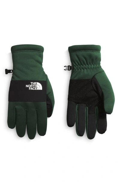 Shop The North Face Sierra E-tip Gloves In Pine Needle