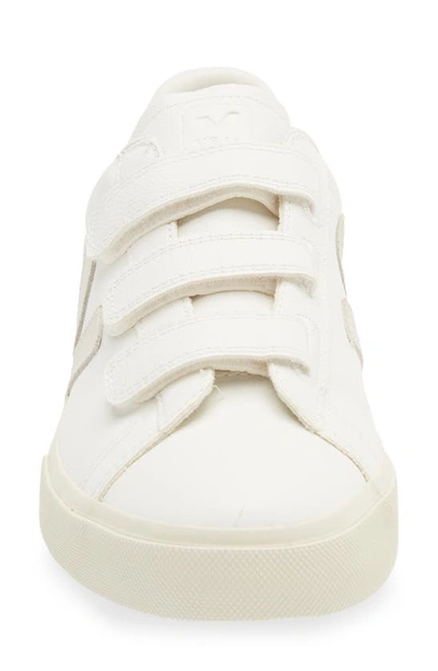Shop Veja Recife Logo Sneaker In Extra White Natural