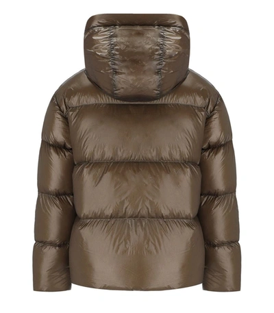Shop Emporio Armani Brown Hooded Down Jacket With Logo