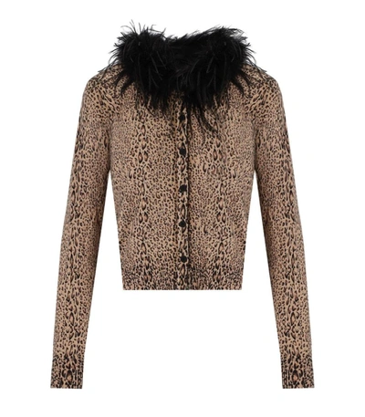 Shop Twinset Animal Print Cardigan With Feathers In Beige