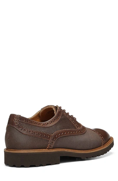 Donald Pliner Jordin Wingtip Derby In Cappuccino
