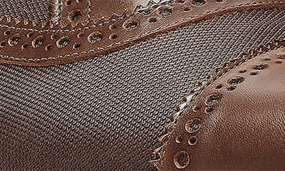 Donald Pliner Jordin Wingtip Derby In Cappuccino