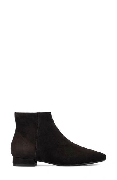 Aquatalia Prisilla Suede Ankle Booties In Truffle