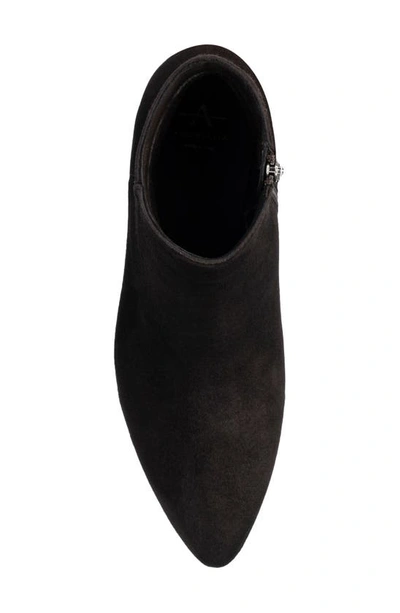 Shop Aquatalia Prisilla Pointed Toe Zip Bootie In Truffle