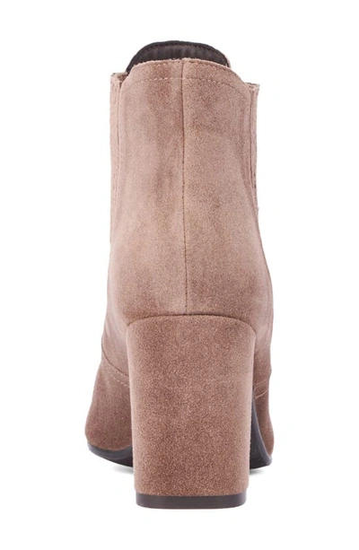 Aquatalia Lanna Zip Bootie In Mink
