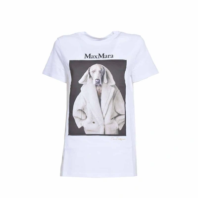 Shop Max Mara White Cotton Valido T-shirt With Wegman Print