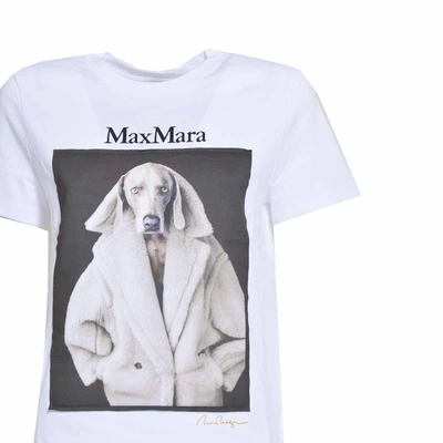 Shop Max Mara White Cotton Valido T-shirt With Wegman Print