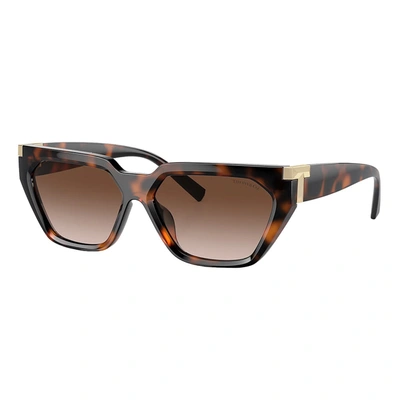 Shop Tiffany & Co Tf 4205u 80153b 56mm Womens Fashion Sunglasses In Brown