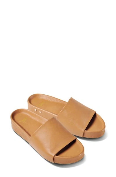 Shop Beek Pelican Slide Sandal In Honey/honey