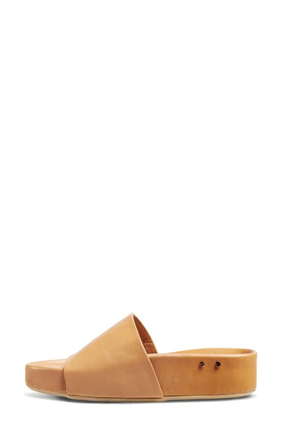 Shop Beek Pelican Slide Sandal In Honey/honey
