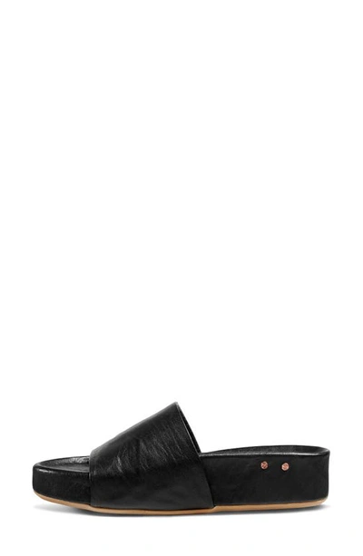 Shop Beek Pelican Slide Sandal In Black Ph
