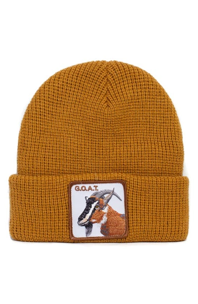 Shop Goorin Bros The Greatest Goat Patch Beanie In Camel