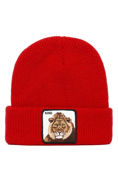 Shop Goorin Bros Jungle Jangle Lion Patch Beanie In Red