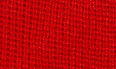 Goorin Bros Jungle Jangle Lion Patch Beanie In Red