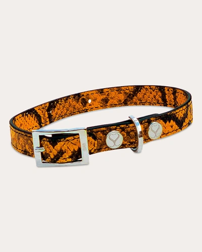Shop Shaya Pets Python-embossed Taylor Collar Leather