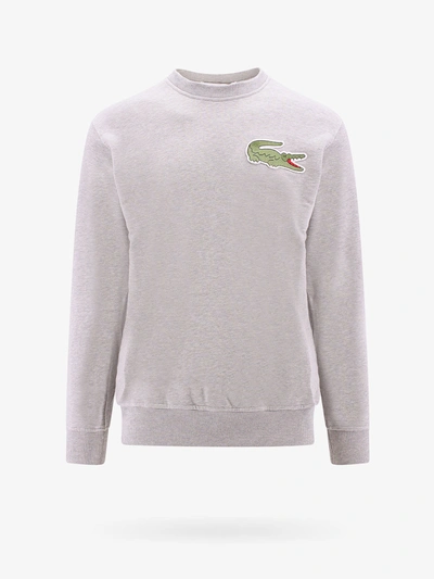 Shop Comme Des Garçons Shirt Sweatshirt In Grey