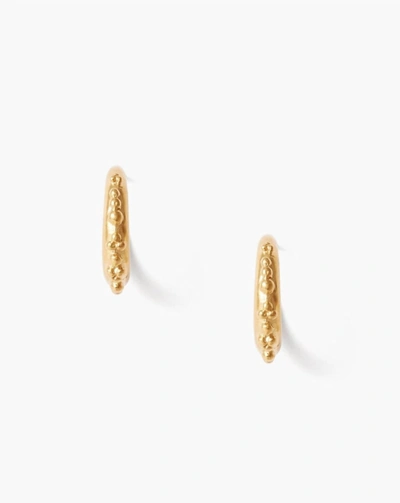 Shop Chan Luu Dotted Hoop Earrings In Gold