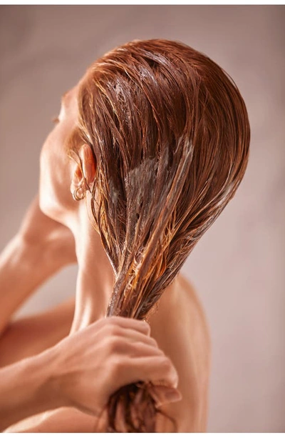 Sisley Paris Sisley-paris Revitalizing Nourishing Shampoo 6.7 Oz.