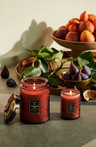 Voluspa Mini Forbidden Fig Glass Jar Candle 5.5 oz/ 156 G 1-wick Candle In Forbidden Fig